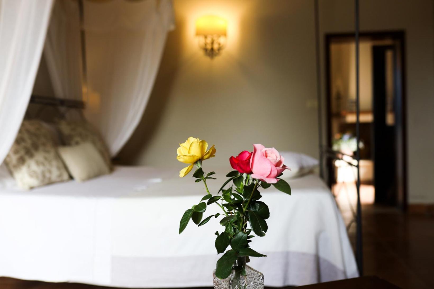 เตนูต้า โมนาเชลลิ แอนด์ มัสเซเรีย จัมเปาโล Guest House เลชเช ภายนอก รูปภาพ