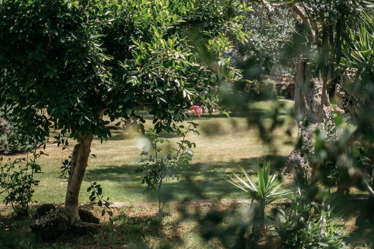เตนูต้า โมนาเชลลิ แอนด์ มัสเซเรีย จัมเปาโล Guest House เลชเช ภายนอก รูปภาพ